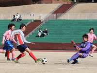 FC Fuji vs g